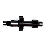 Reduction gear shaft (12G22)